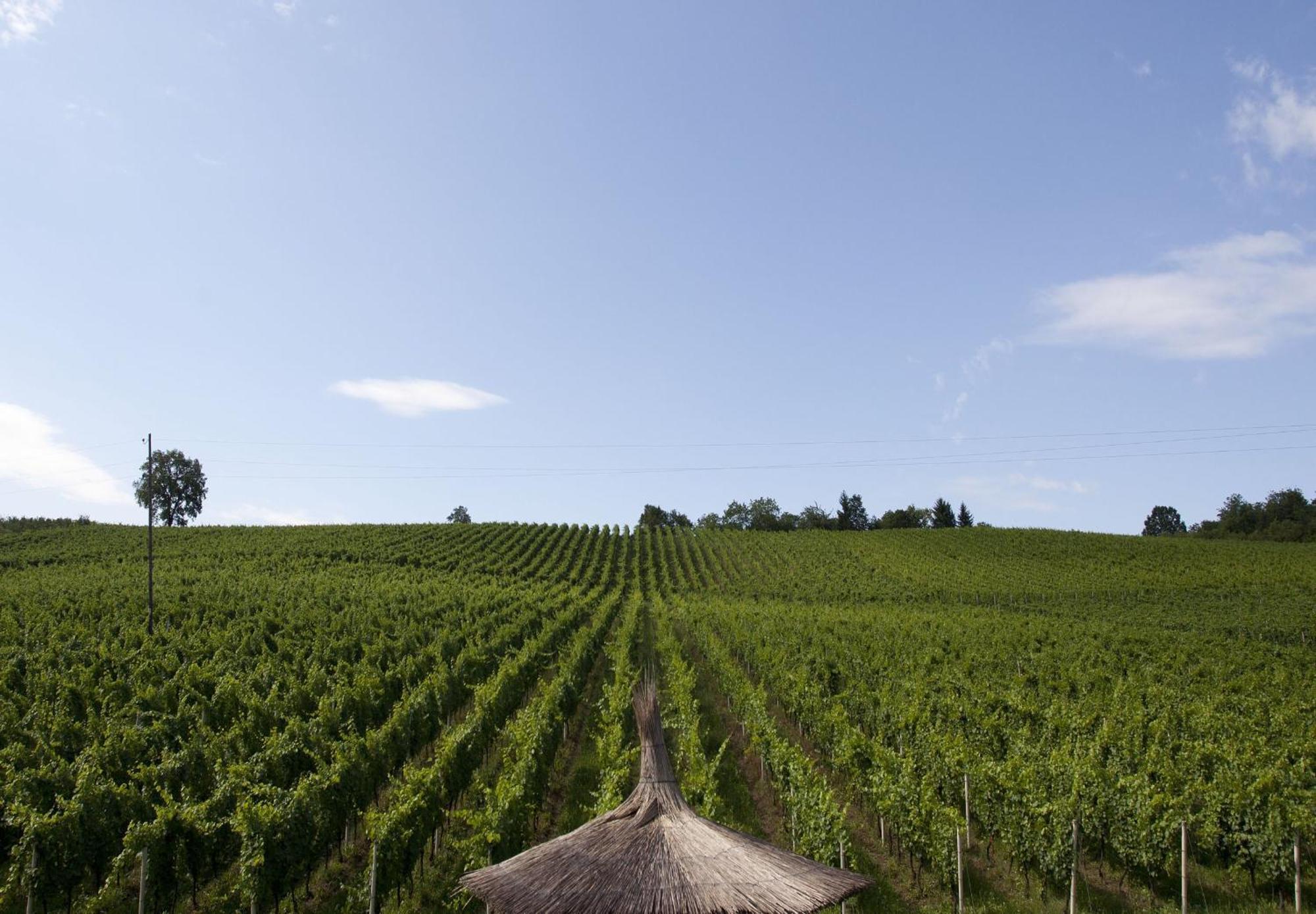 Stupnicki Dvori Winery Hotel Brodski Stupnik Bagian luar foto