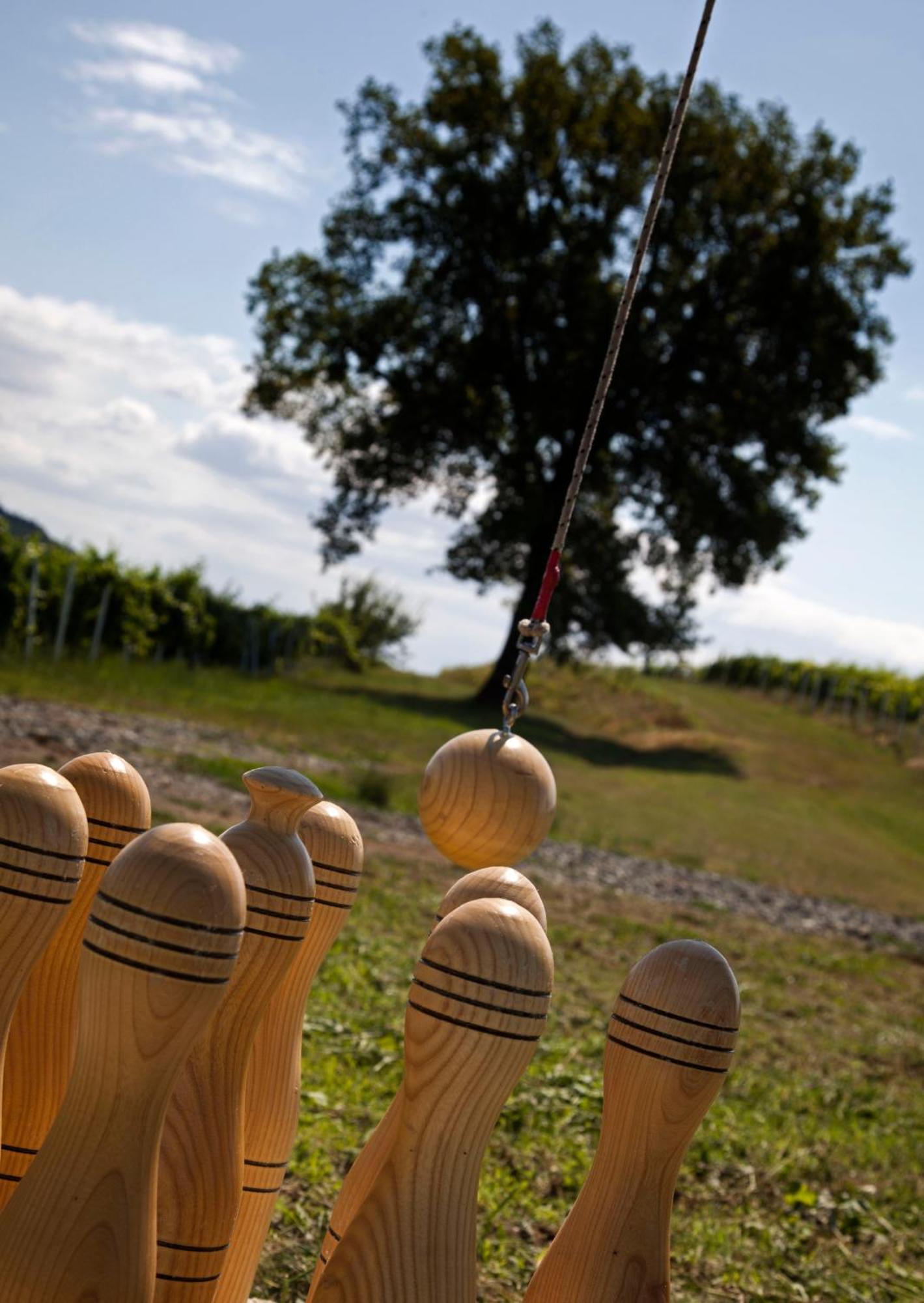 Stupnicki Dvori Winery Hotel Brodski Stupnik Bagian luar foto