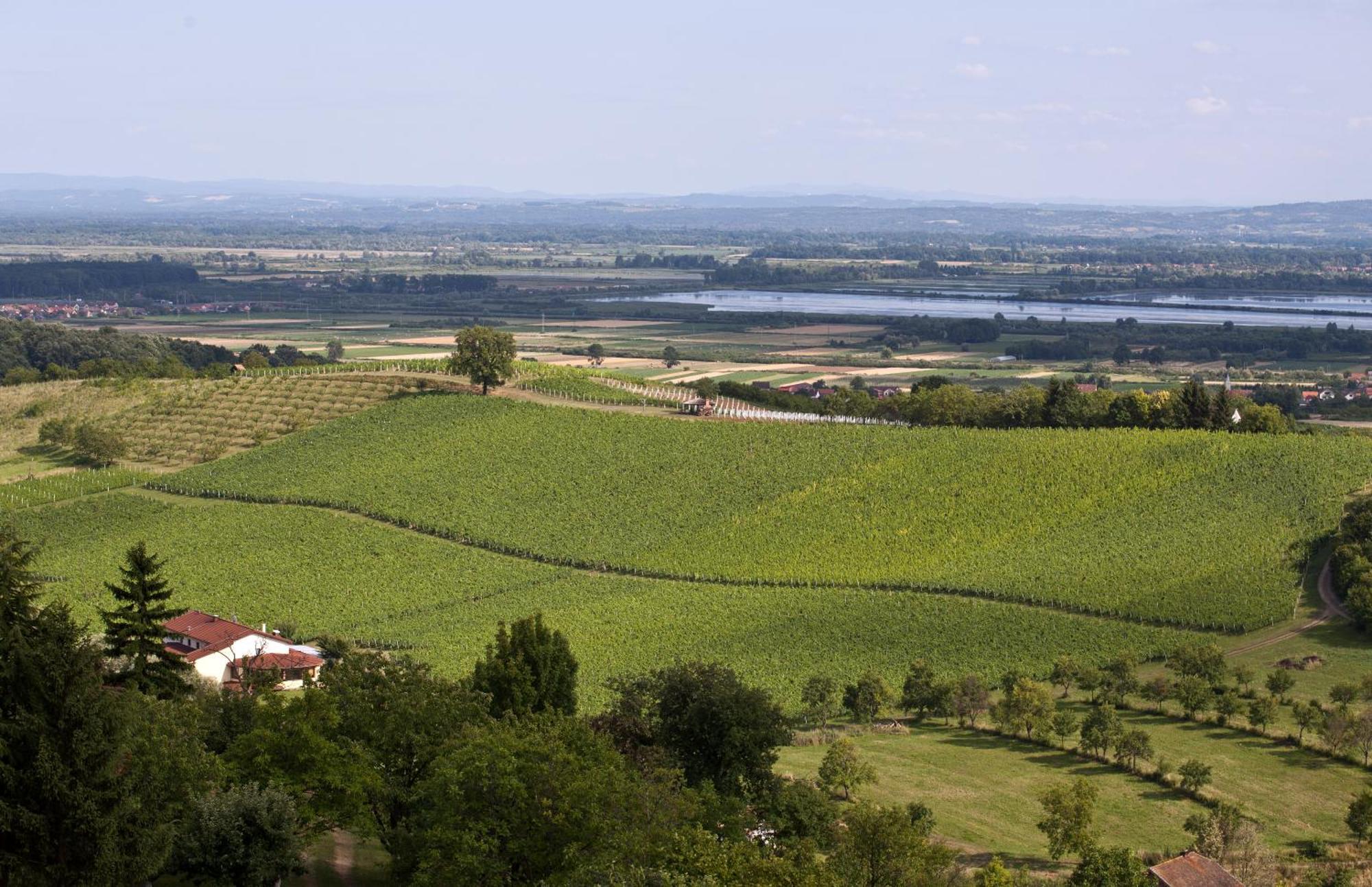 Stupnicki Dvori Winery Hotel Brodski Stupnik Bagian luar foto