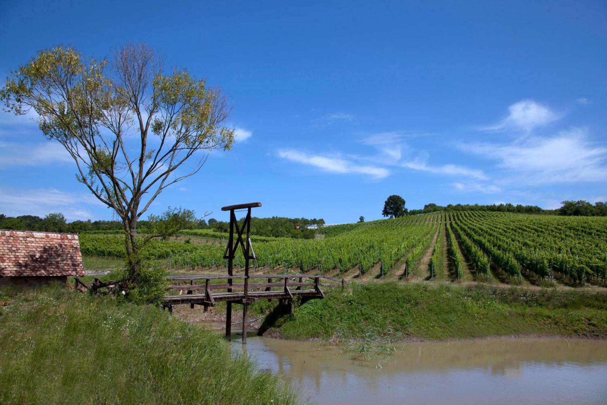 Stupnicki Dvori Winery Hotel Brodski Stupnik Bagian luar foto