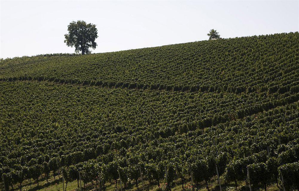 Stupnicki Dvori Winery Hotel Brodski Stupnik Bagian luar foto