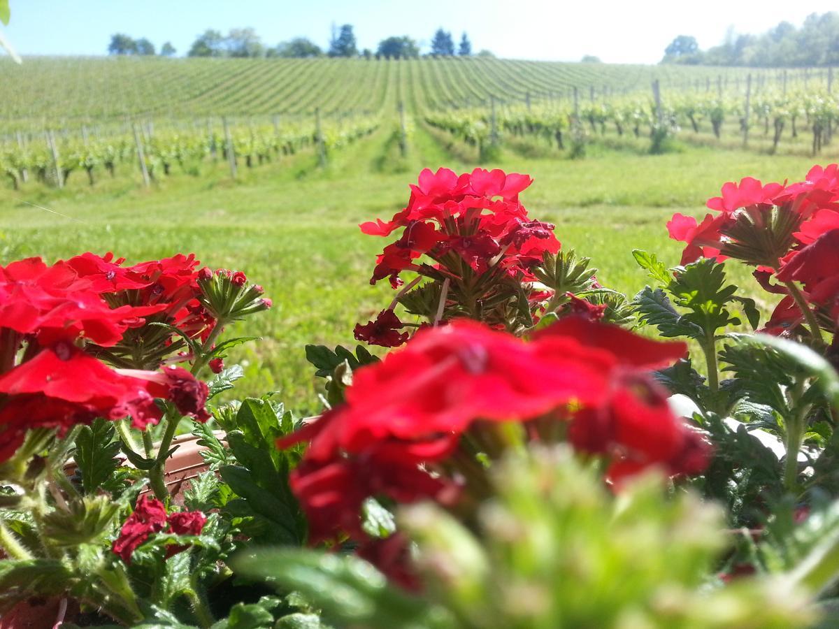 Stupnicki Dvori Winery Hotel Brodski Stupnik Bagian luar foto